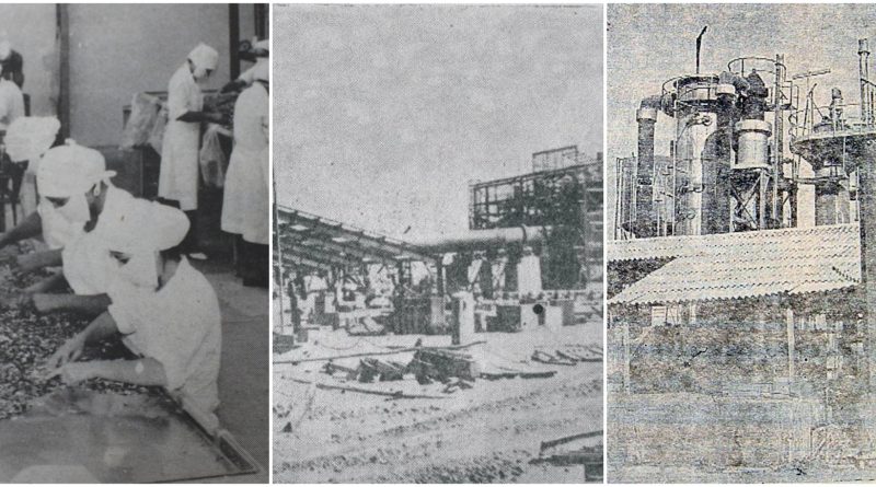 Periódico La Compañía rescatará la historia del auge industrial y el rol femenino en el sector Periódico La Compañía rescatará la historia del auge industrial y el rol femenino en el sector